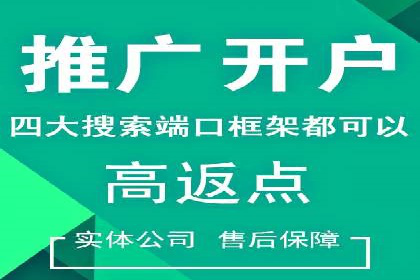 百度竞价运营案例分析：实战经验总结